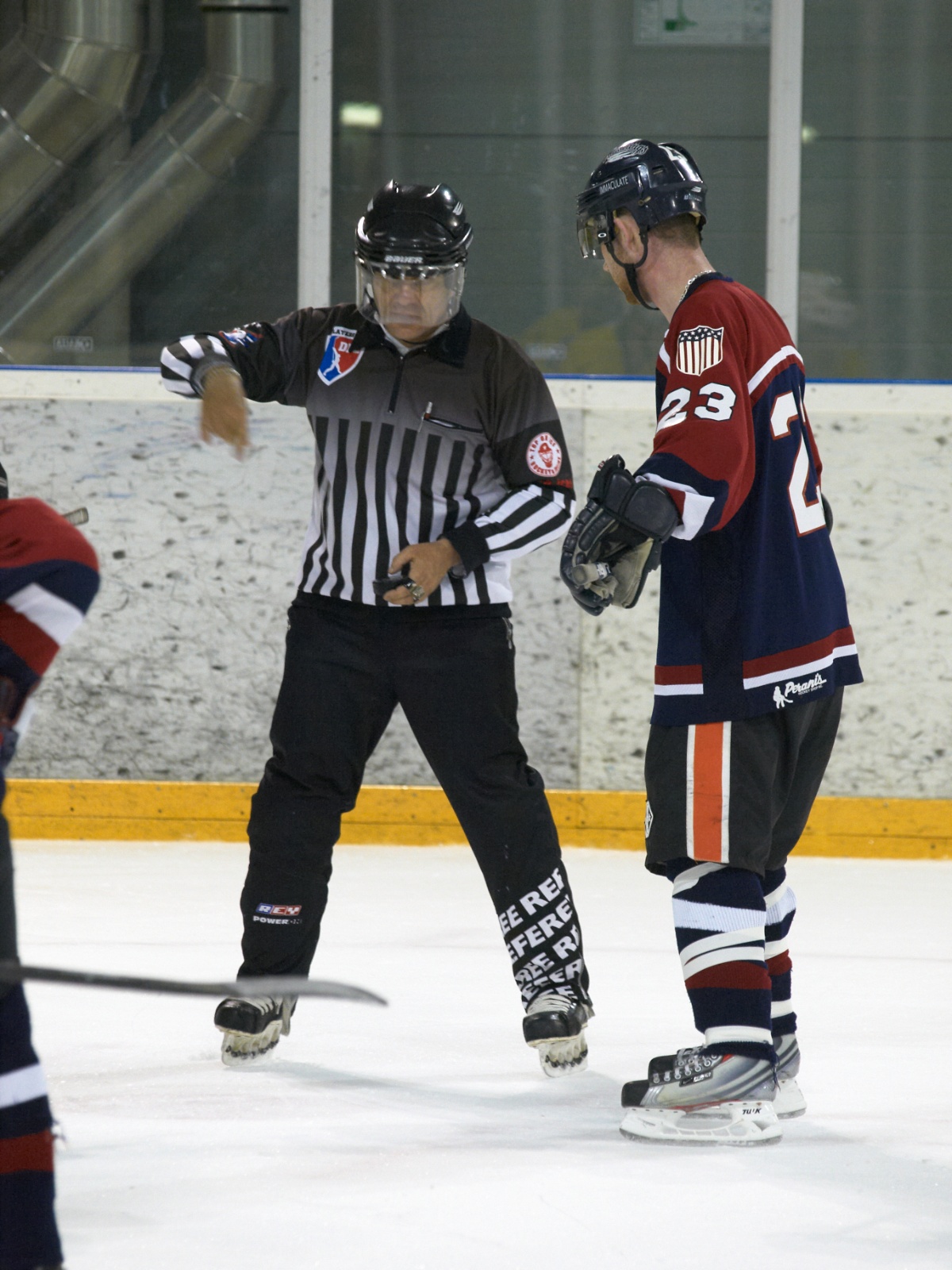 Eishockey 2009 04 04 22 12 18