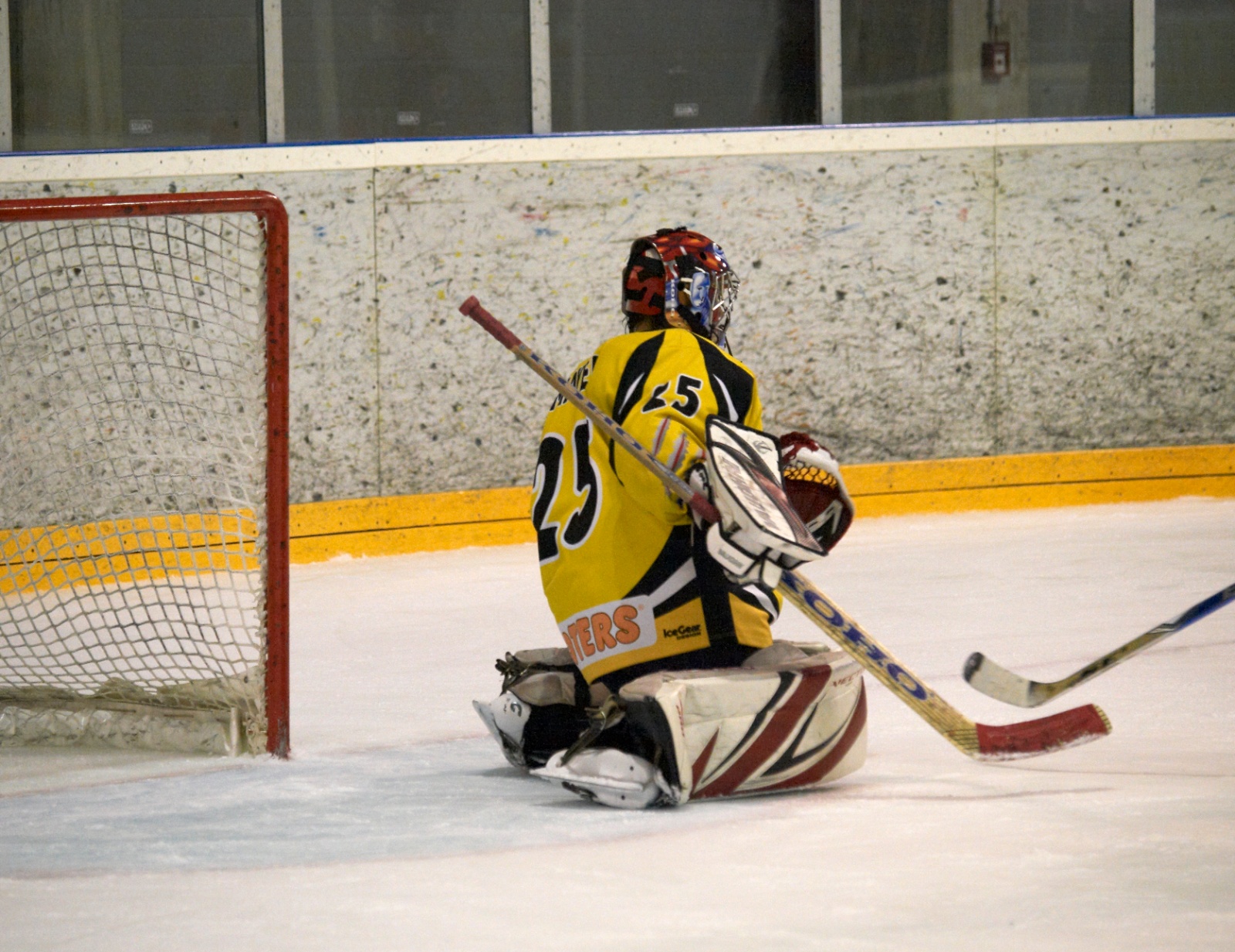 DPL Finale 2010 2010 04 10 21 22 50