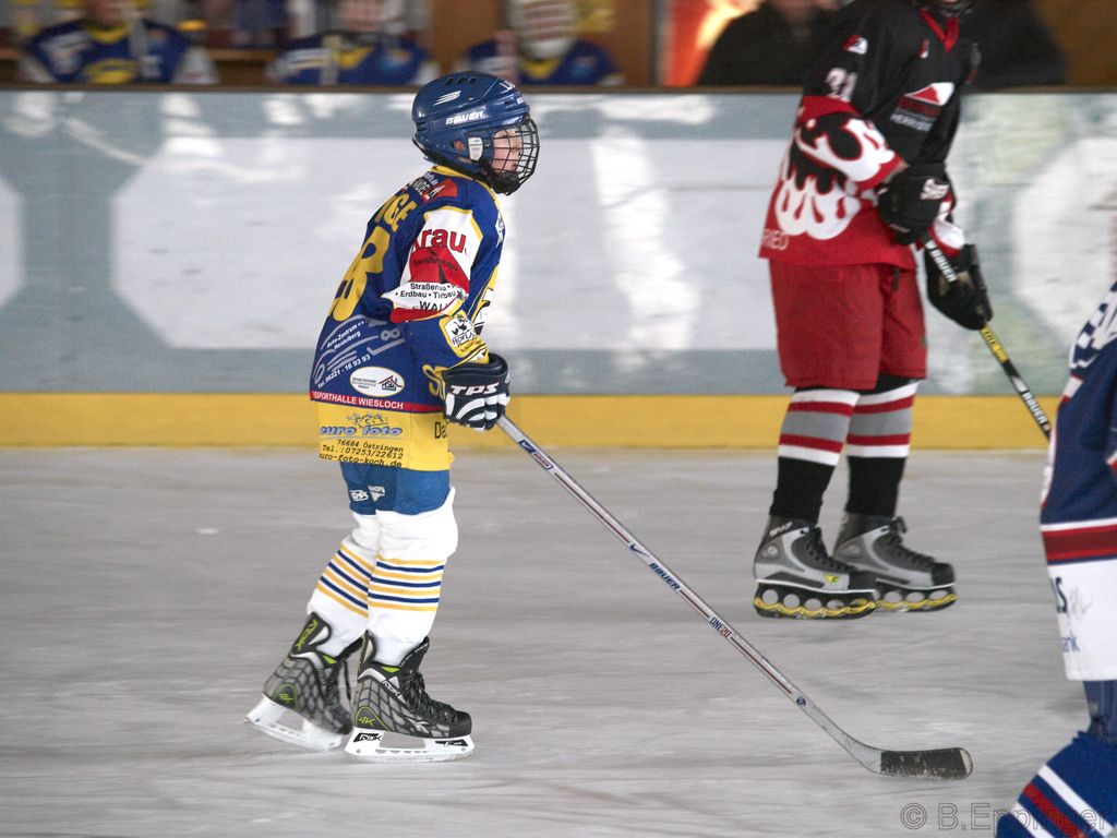 BNL 2008 11 29 11 12 04 02