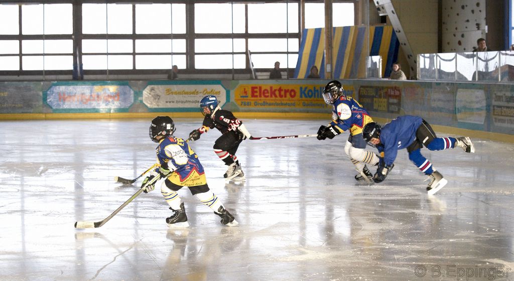 BNL 2008 11 29 11 54 30