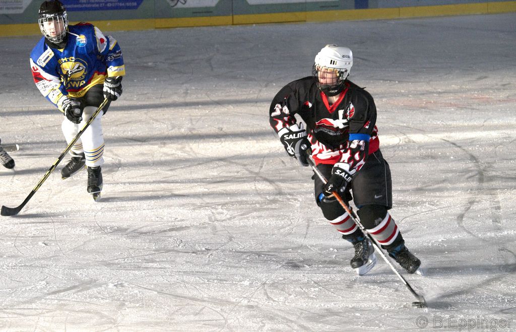 BNL 2008 11 29 12 19 12