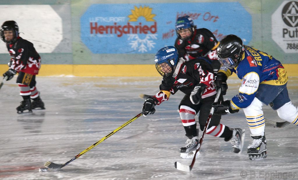 BNL 2008 11 29 12 48 01