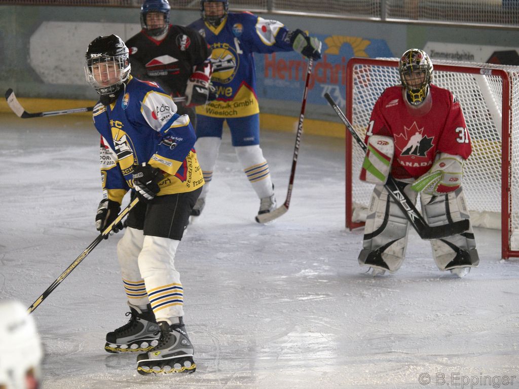 BNL 2008 11 29 12 49 40