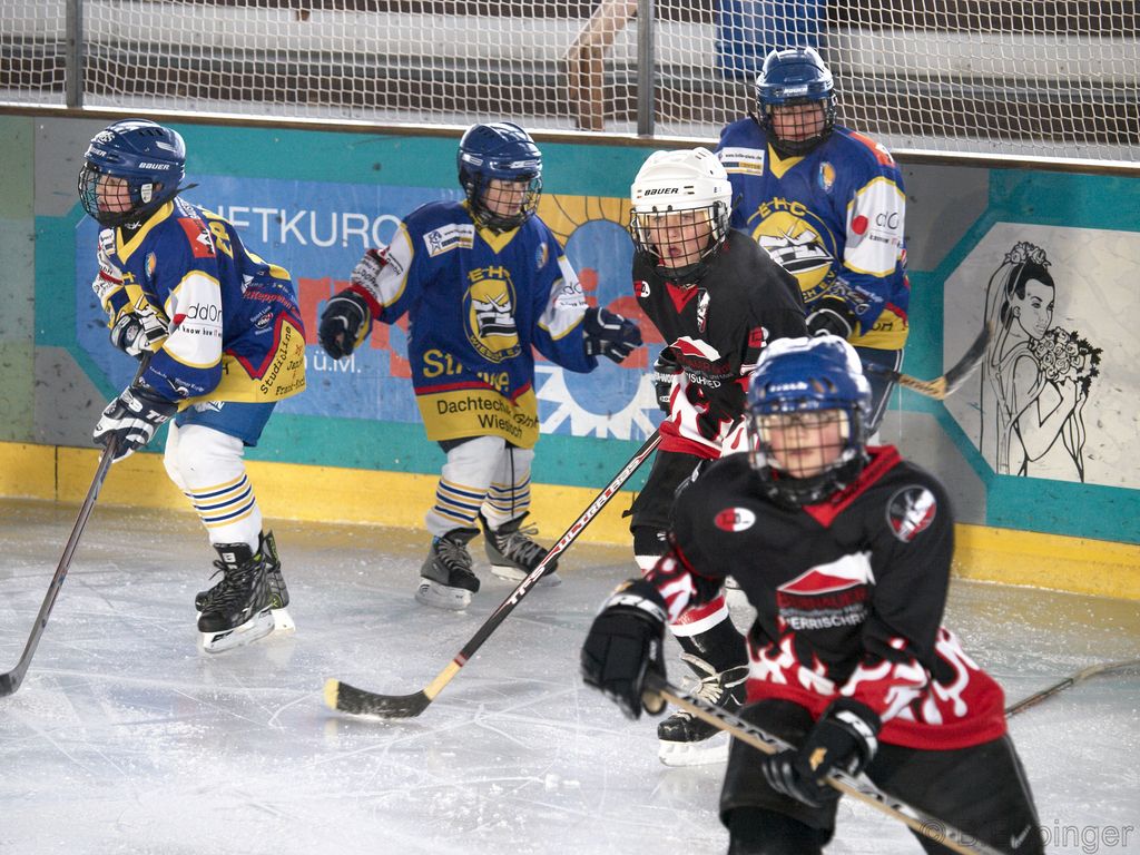 BNL 2008 11 29 12 51 53