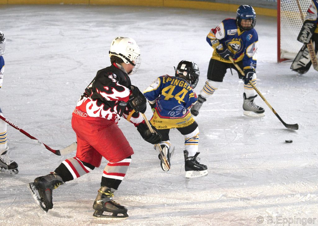 BNL 2008 11 29 13 00 38