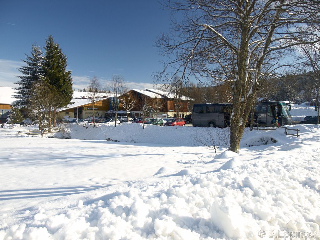 BNL 2008 11 29 13 45 33