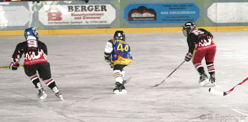 Normal BNL 2008 11 29 11 08 00