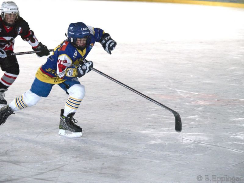 Normal BNL 2008 11 29 11 10 57