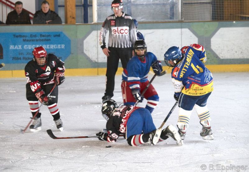 Normal BNL 2008 11 29 11 23 51