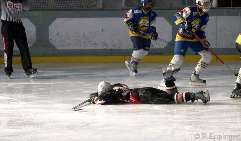 Normal BNL 2008 11 29 11 55 46