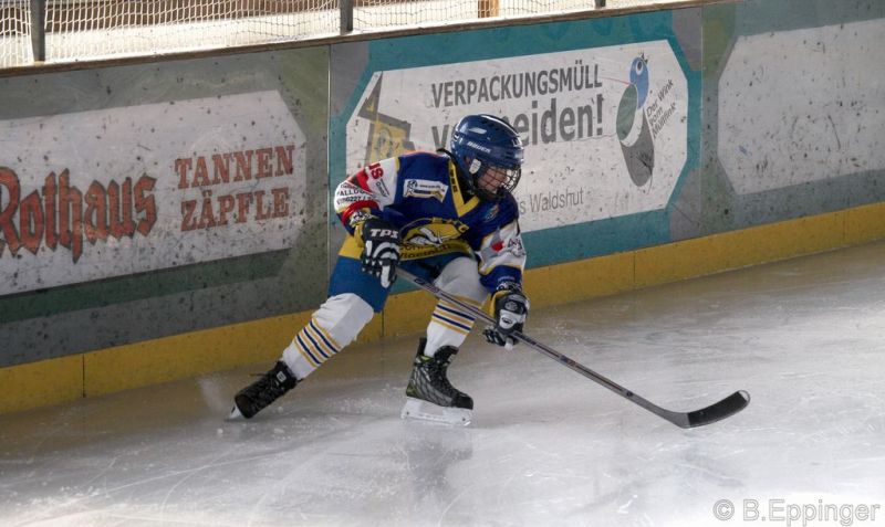 Normal BNL 2008 11 29 11 59 05