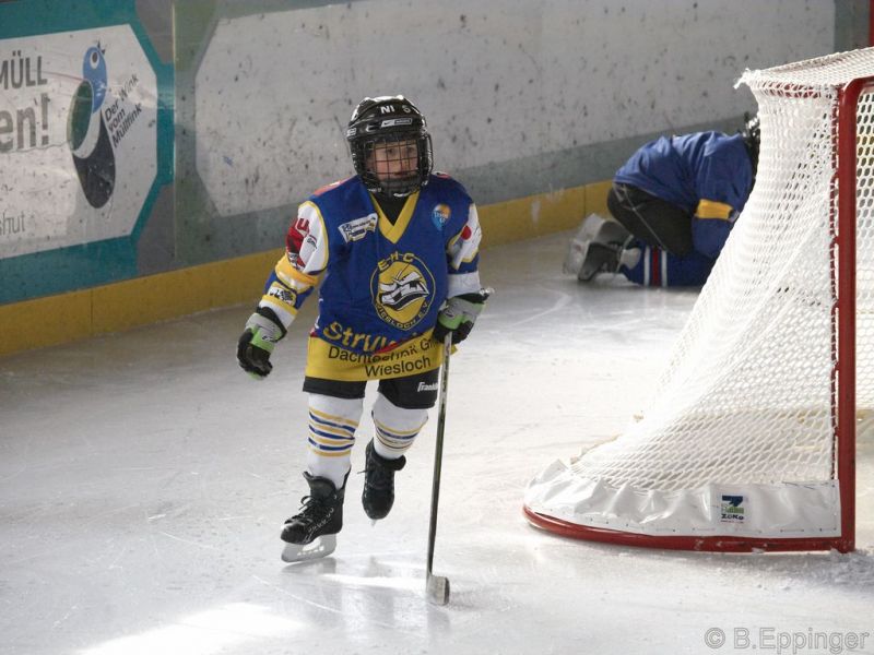 Normal BNL 2008 11 29 12 17 06