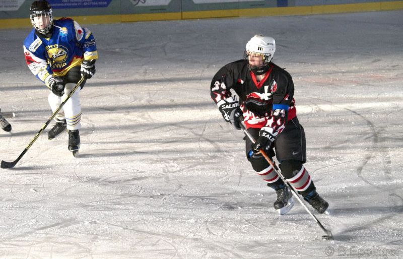 Normal BNL 2008 11 29 12 19 12