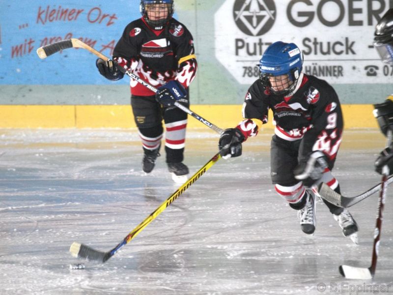 Normal BNL 2008 11 29 12 48 00