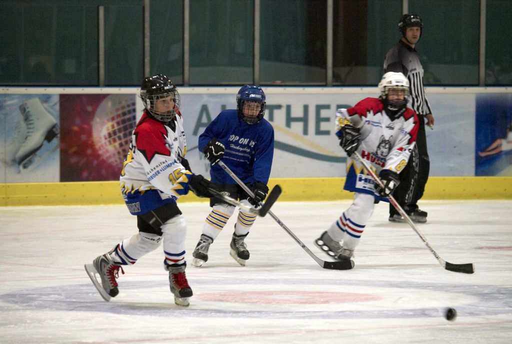 Waldbronn2 2009 01 19 18 09 15