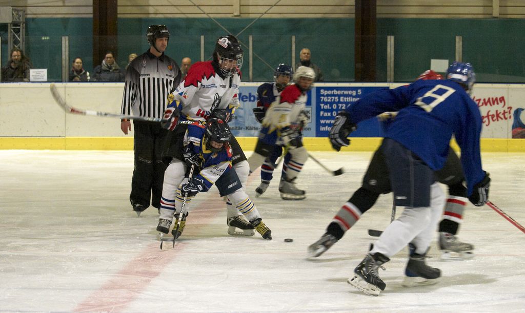 Waldbronn2 2009 01 19 18 14 38