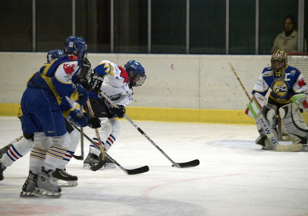 Waldbronn2 2009 01 19 18 26 39