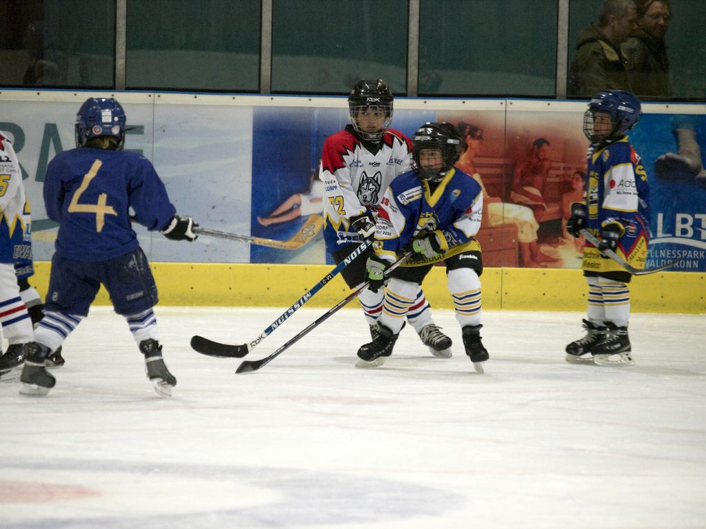 Waldbronn2 2009 01 19 18 38 51