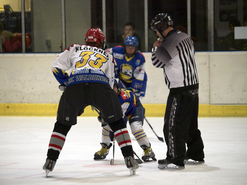 Waldbronn2 2009 01 19 18 39 34