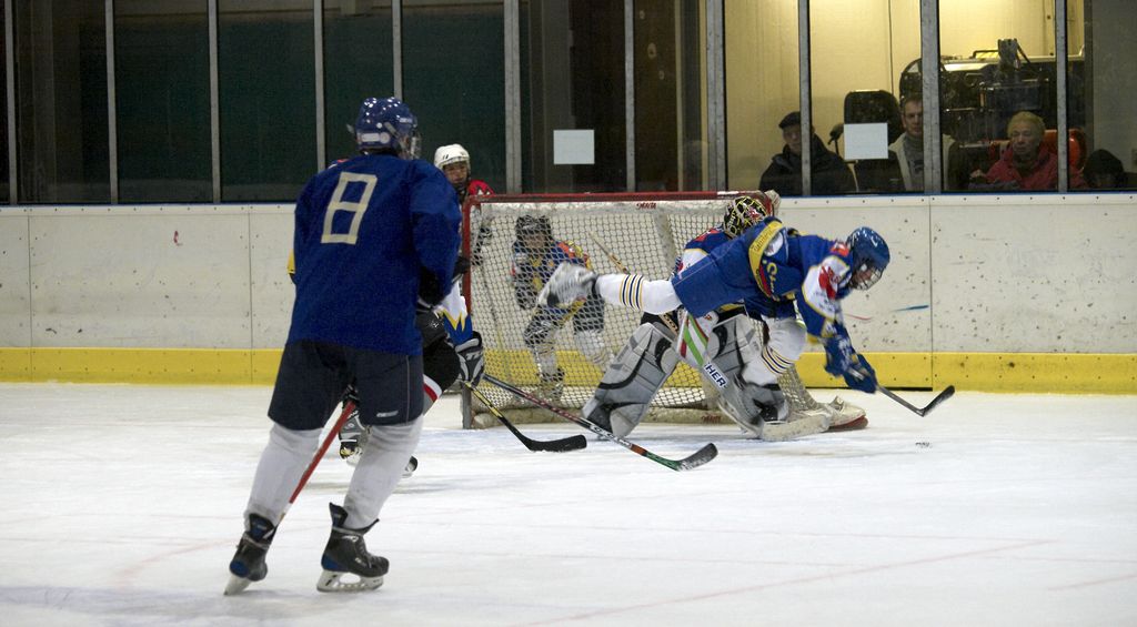 Waldbronn2 2009 01 19 18 41 30