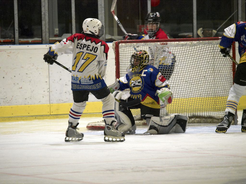 Waldbronn2 2009 01 19 19 19 54