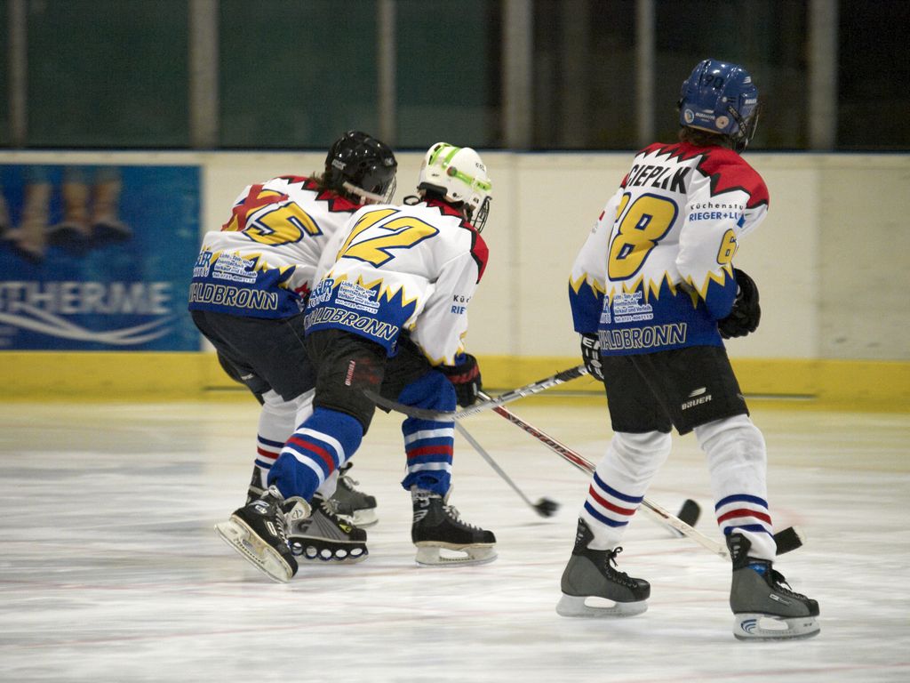 Waldbronn2 2009 01 19 19 29 35