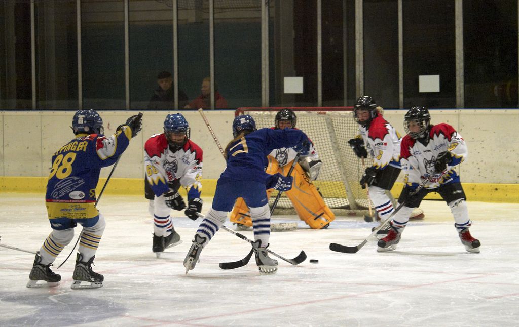 Waldbronn2 2009 01 19 19 30 19