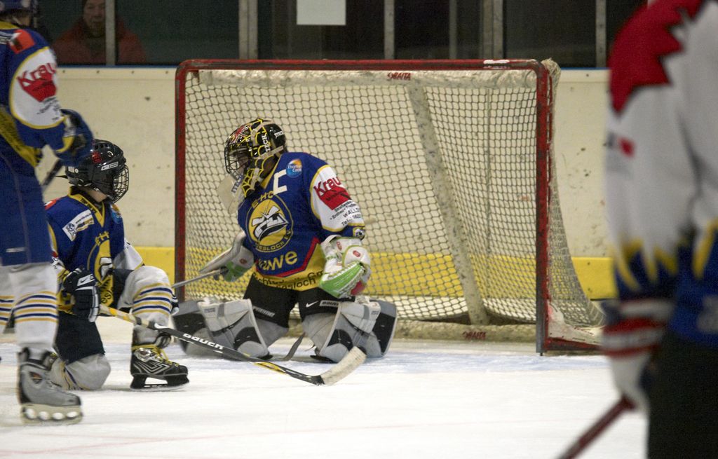 Waldbronn2 2009 01 19 20 11 26