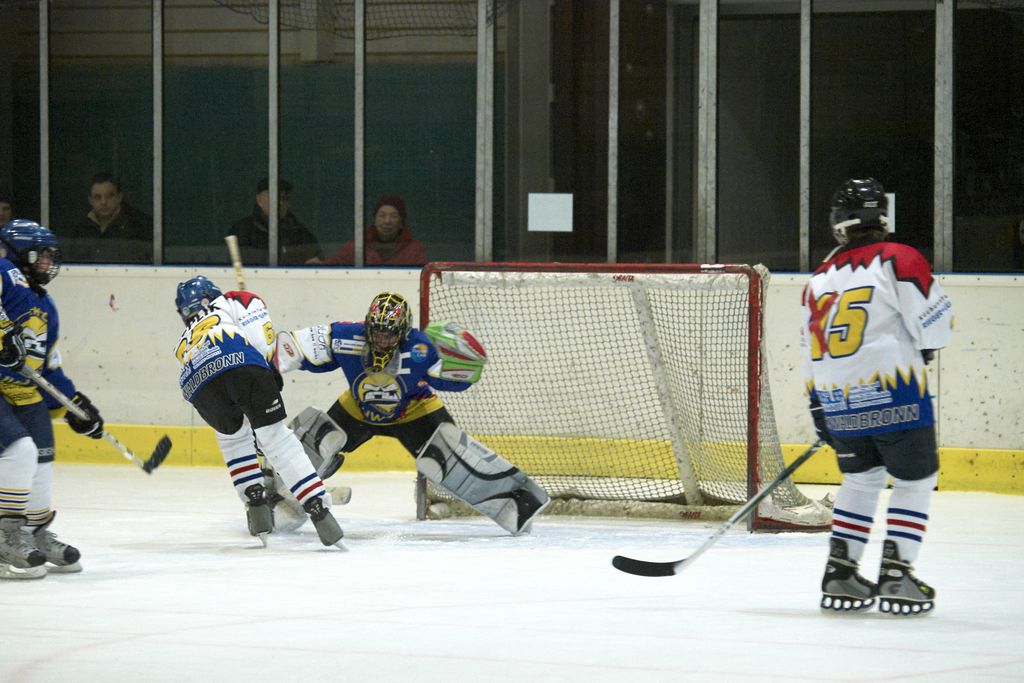 Waldbronn2 2009 01 19 20 21 38 02