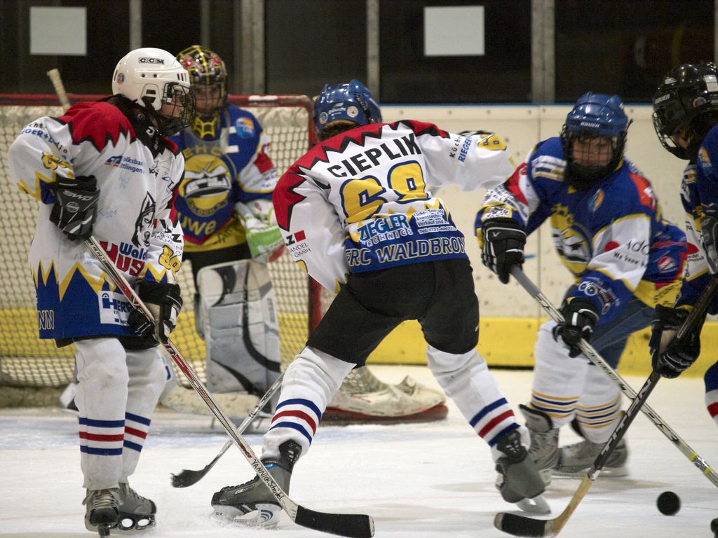 Waldbronn2 2009 01 19 20 21 46