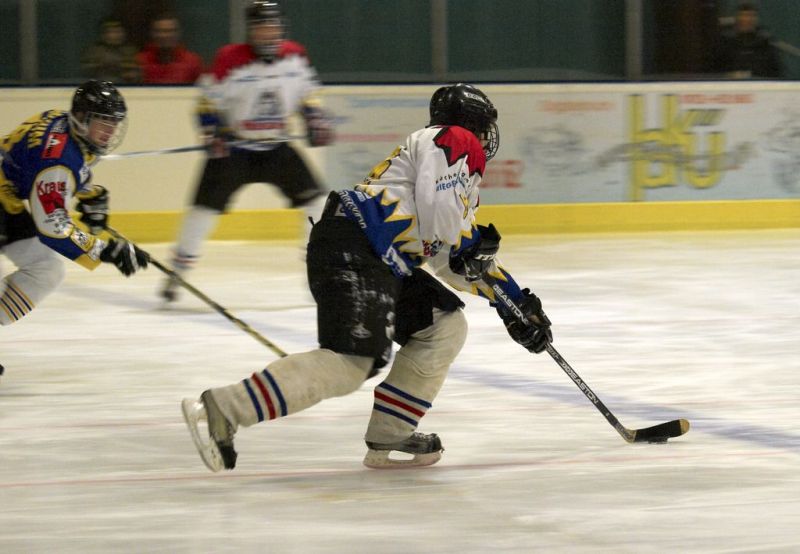 Normal Waldbronn2 2009 01 19 18 07 05