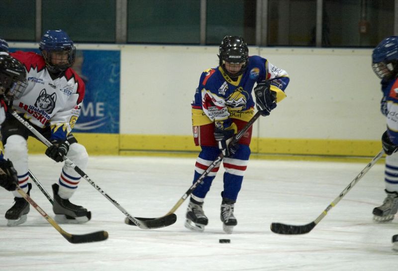 Normal Waldbronn2 2009 01 19 18 10 10