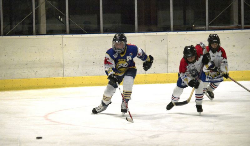 Normal Waldbronn2 2009 01 19 18 19 04