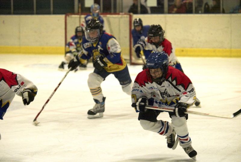 Normal Waldbronn2 2009 01 19 18 28 57 02