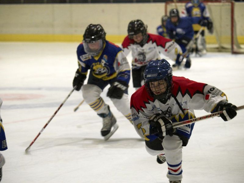 Normal Waldbronn2 2009 01 19 18 28 58