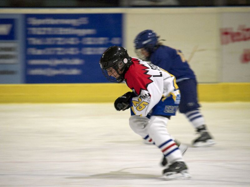 Normal Waldbronn2 2009 01 19 18 37 52