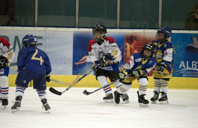 Normal Waldbronn2 2009 01 19 18 38 51 02