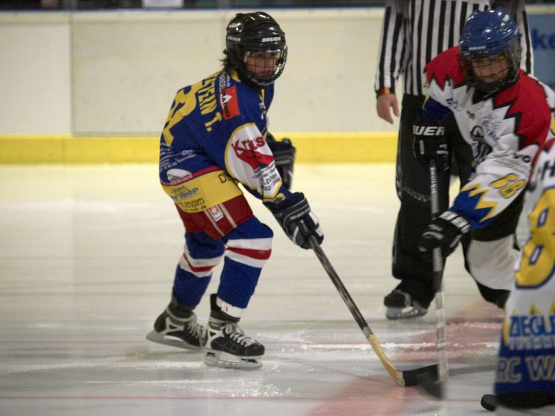 Normal Waldbronn2 2009 01 19 19 05 27