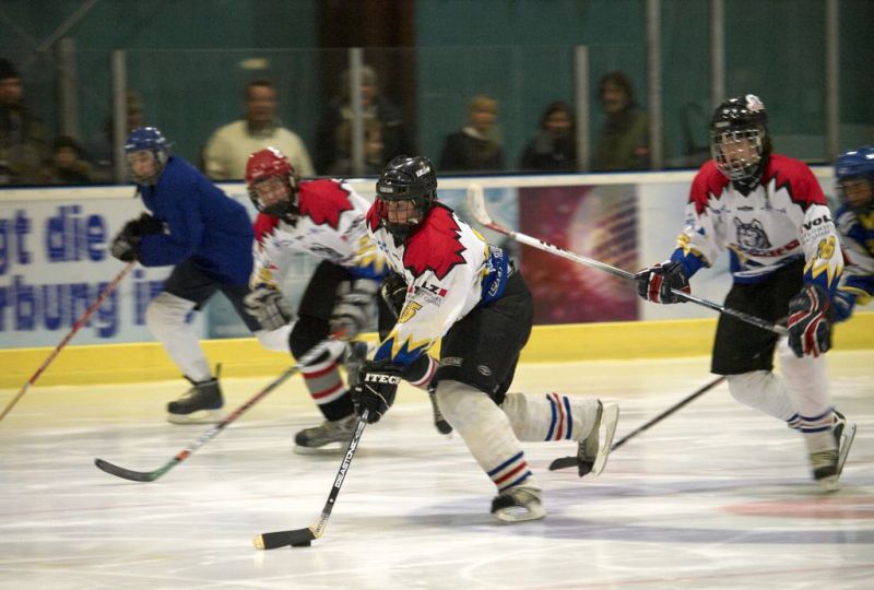 Normal Waldbronn2 2009 01 19 19 10 55