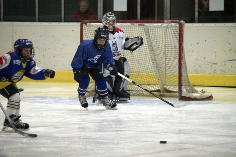 Normal Waldbronn2 2009 01 19 19 24 48