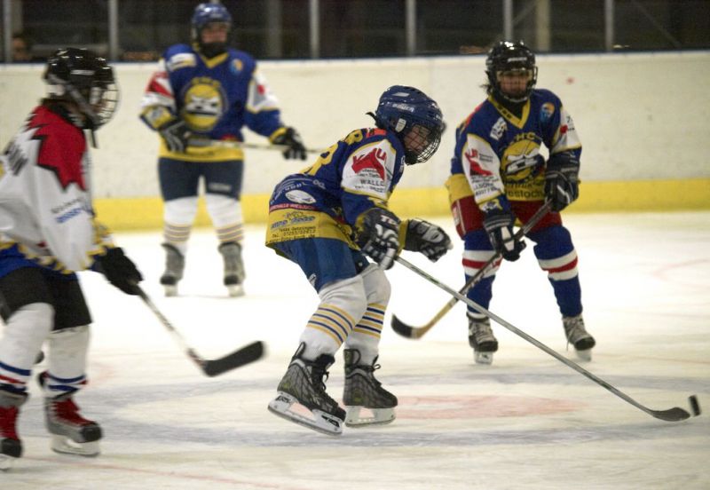 Normal Waldbronn2 2009 01 19 19 29 24