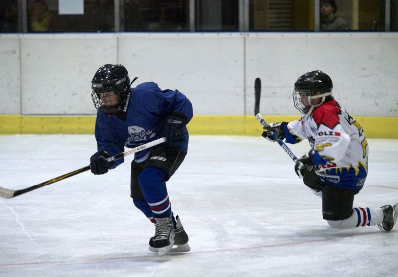 Normal Waldbronn2 2009 01 19 19 50 48 02