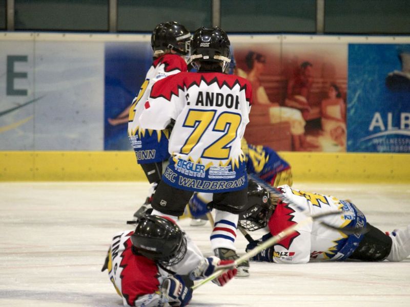 Normal Waldbronn2 2009 01 19 19 58 09