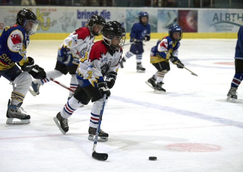 Normal Waldbronn2 2009 01 19 20 15 48