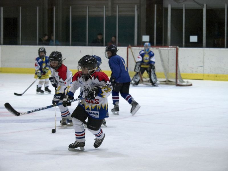 Normal Waldbronn2 2009 01 19 20 16 17