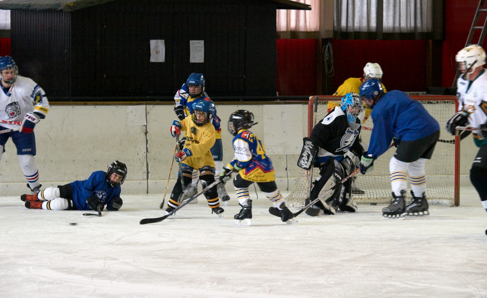 Eishockey 2009 03 28 09 24 09