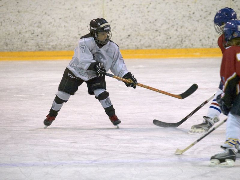 Normal Inhouseliga 140