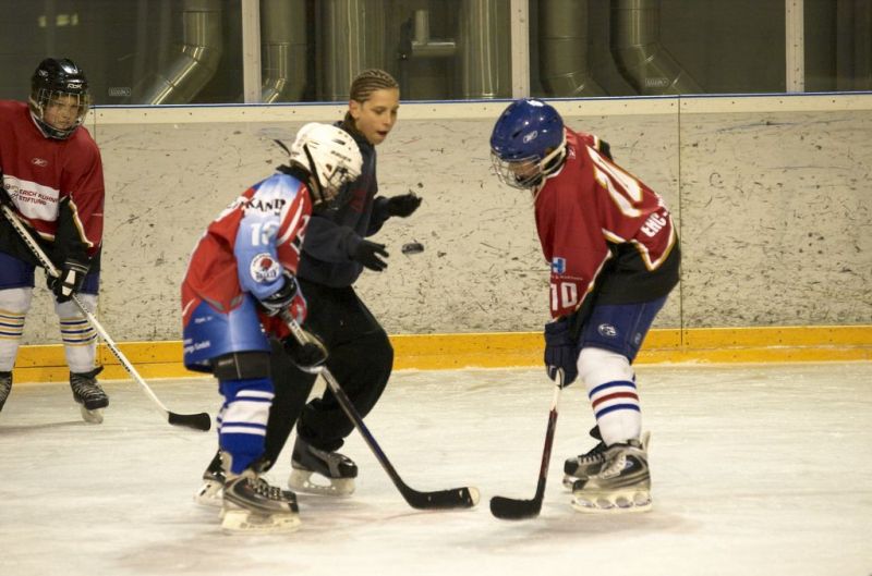 Normal Inhouseliga 498