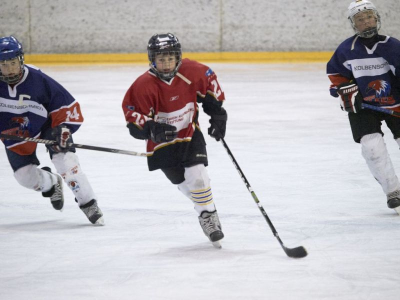 Normal Inhouse 26 02 12 106