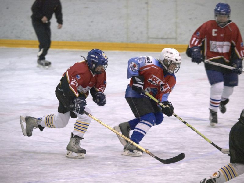 Normal Inhouse 280310 008